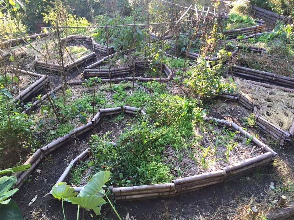 土のがっこう〜パーマカルチャーと自然農〜